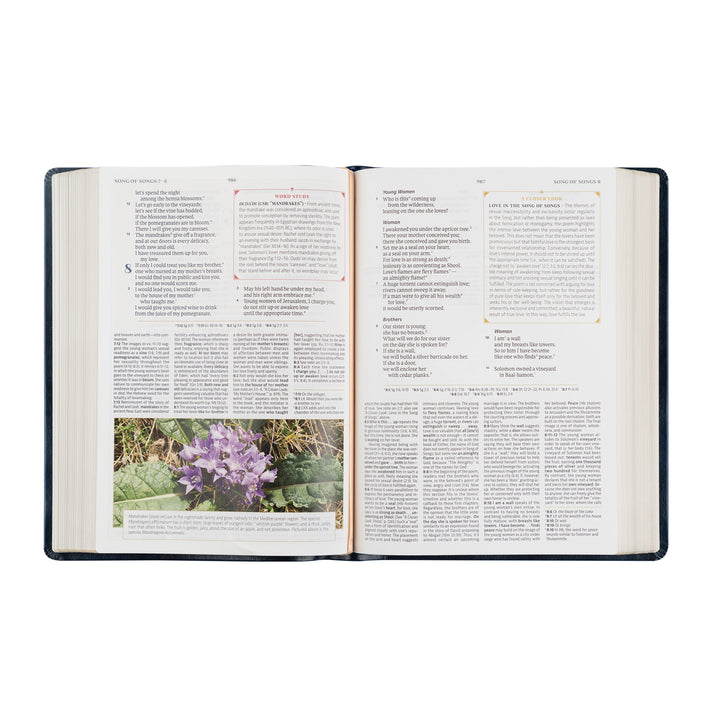 Open book with text and a purple flower illustration on a white background