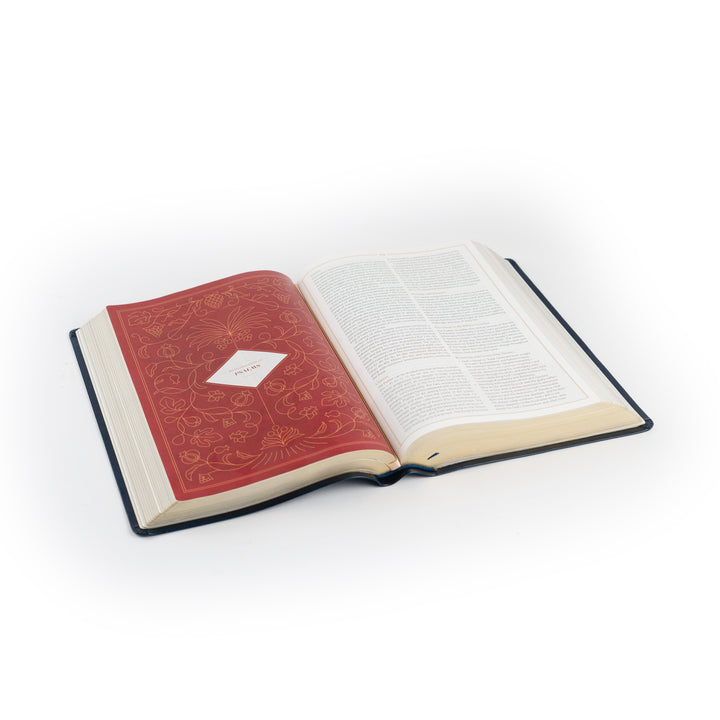 Open book with red cover on a white background