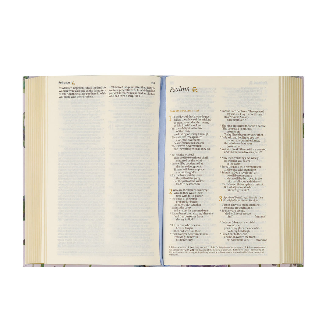 NLT Compact Bible: Willow Theme