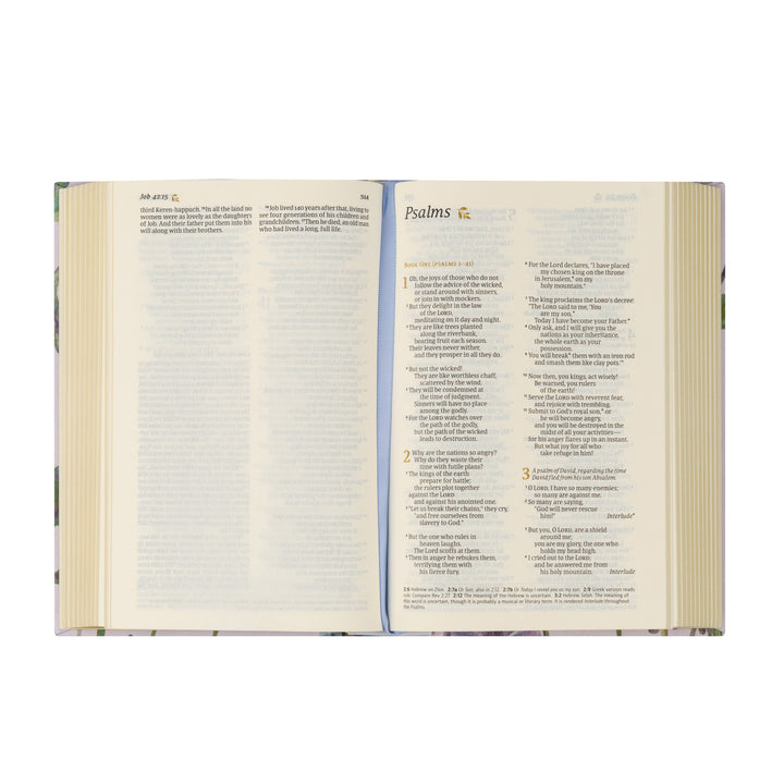 NLT Compact Bible: Willow Theme