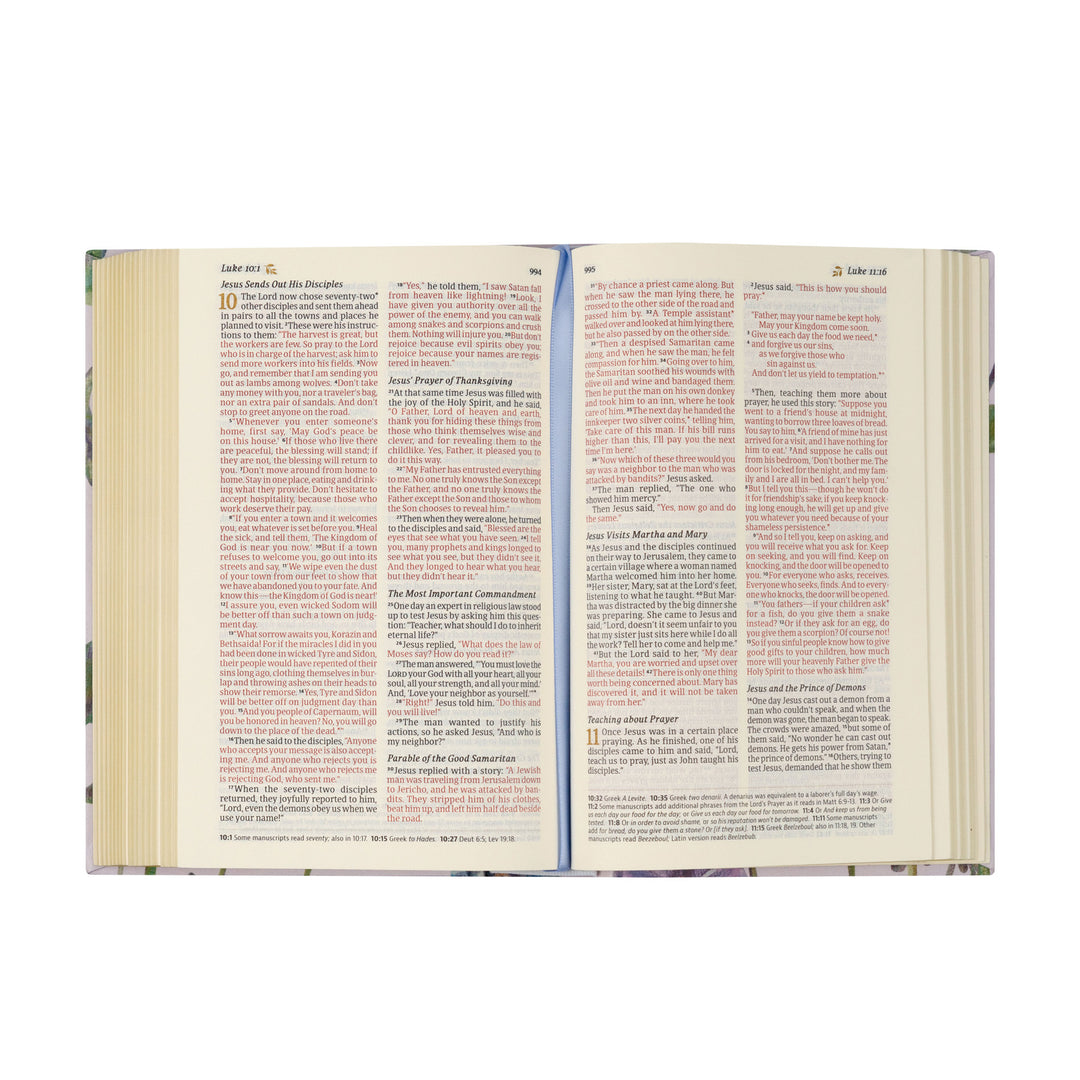 NLT Compact Bible: Willow Theme