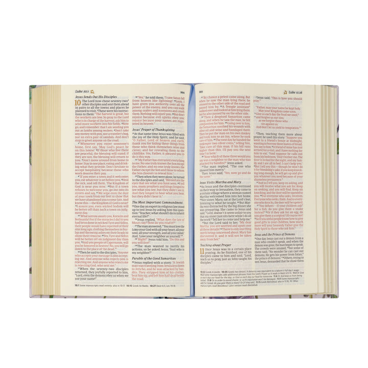 NLT Compact Bible: Willow Theme