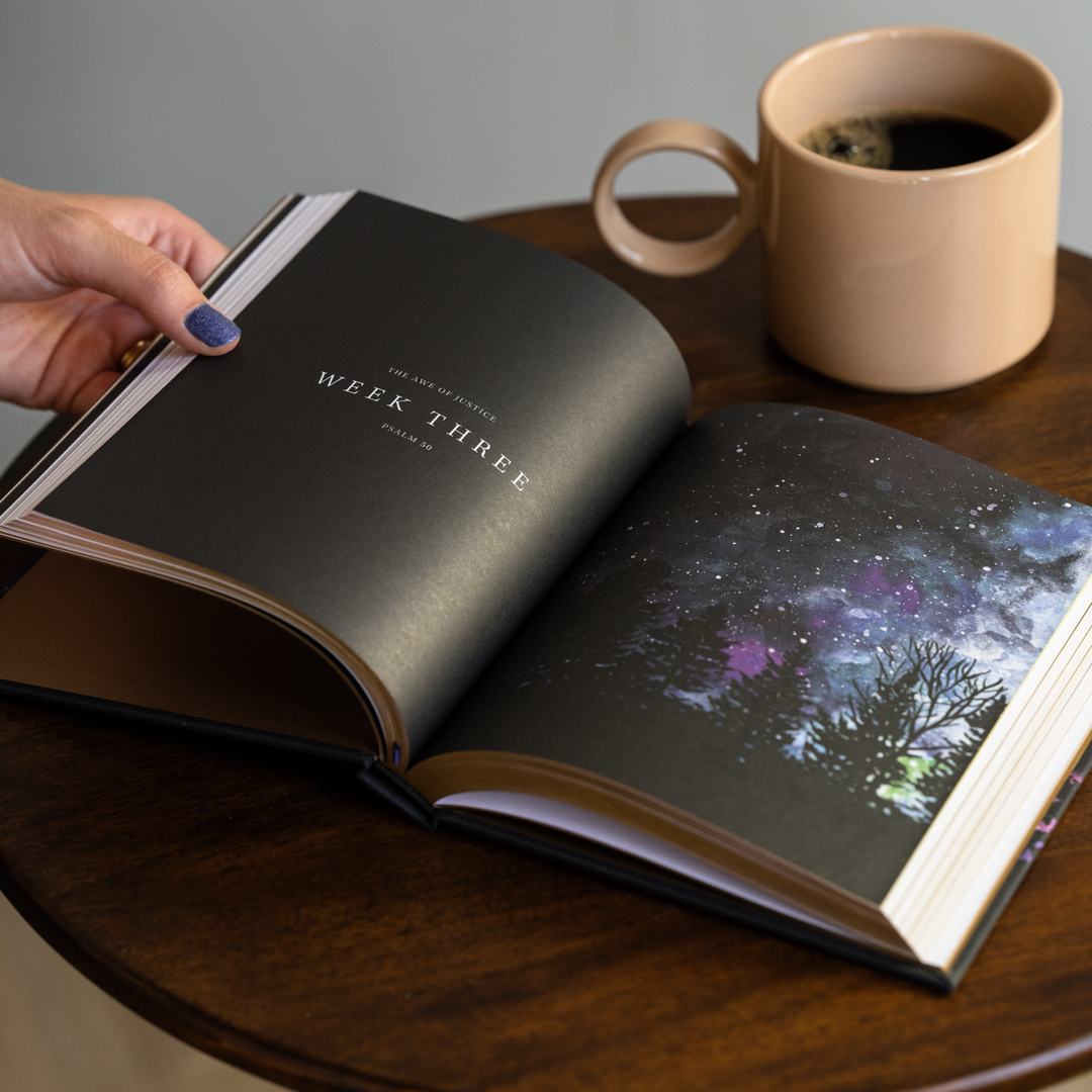 Wonder by Alicia Hamilton