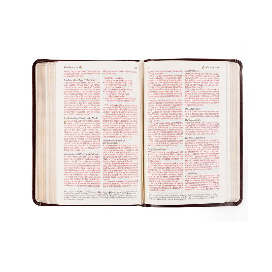 NLT Compact Bible: Yorkshire Theme