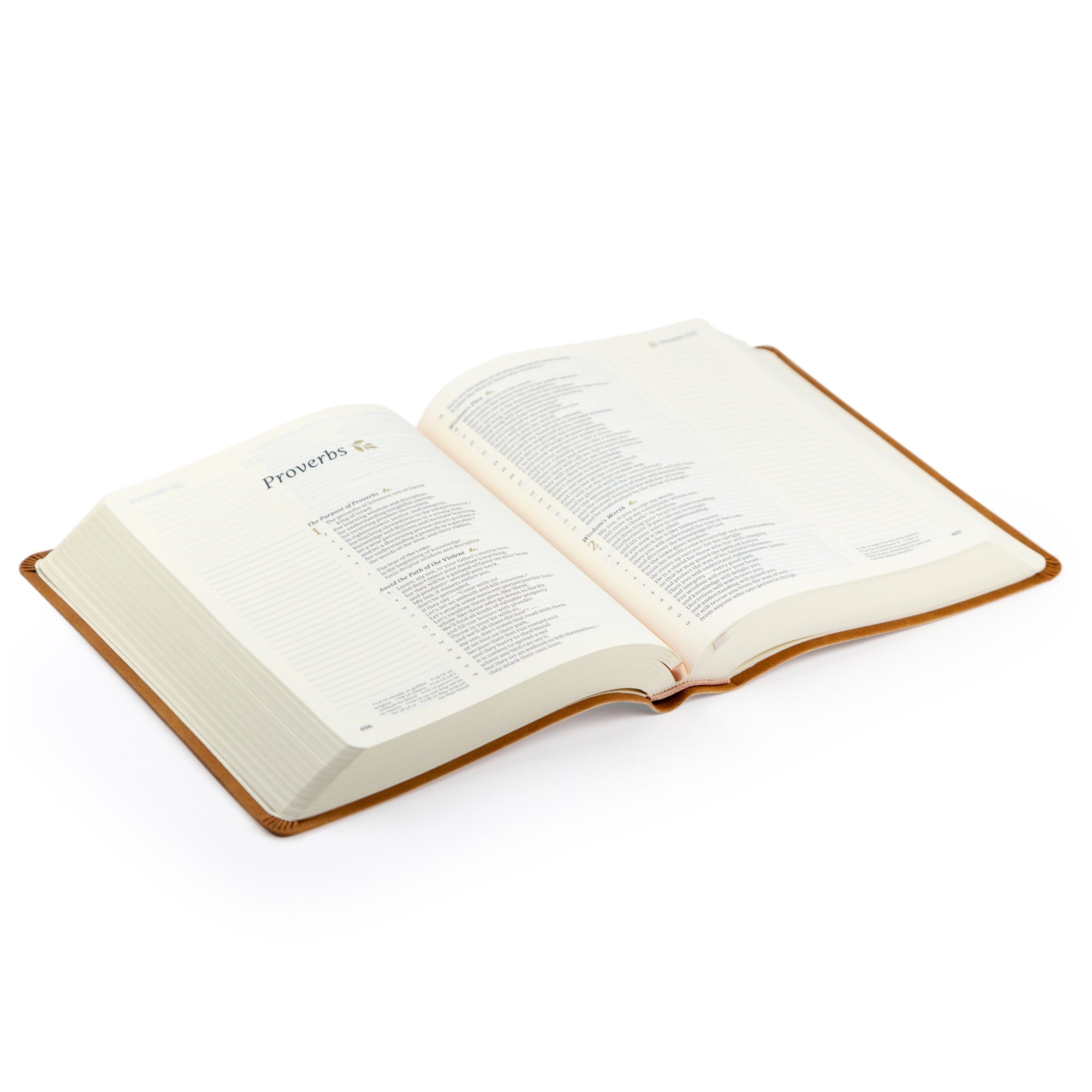 CSB Notetaking Bible: Amelia Theme | Hosanna Revival