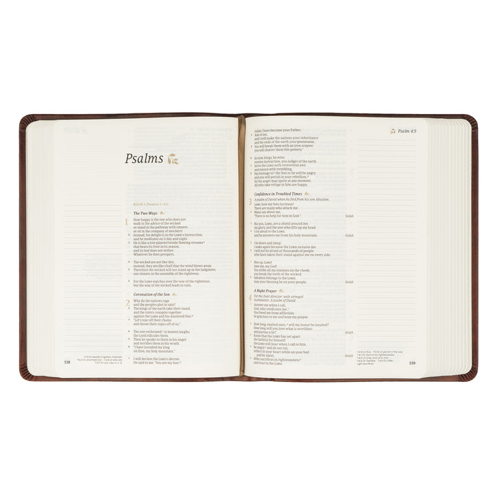 CSB Notetaking Bible: Anchorage Theme