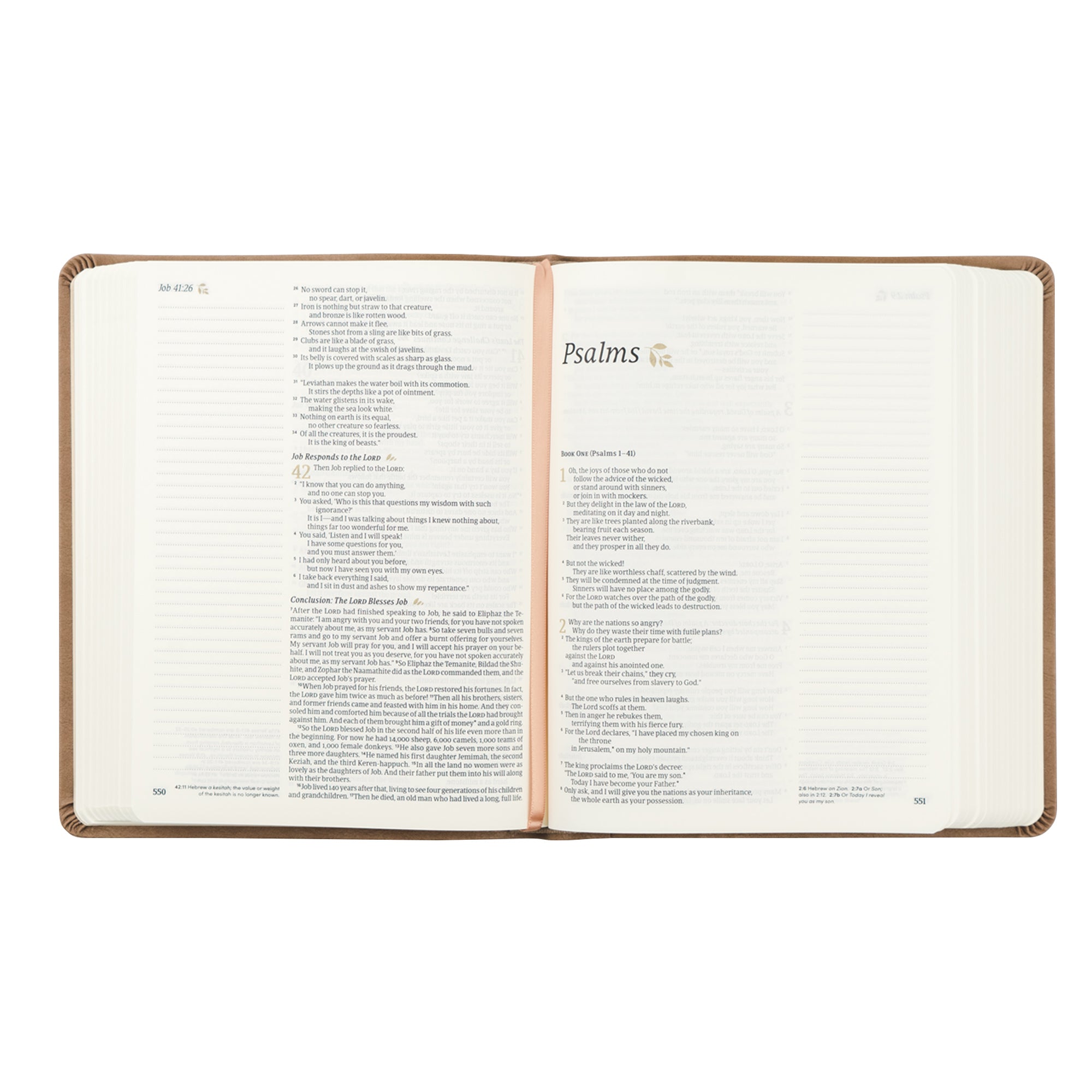 NLT Notetaking Bible: Galilee Theme | Hosanna Revival