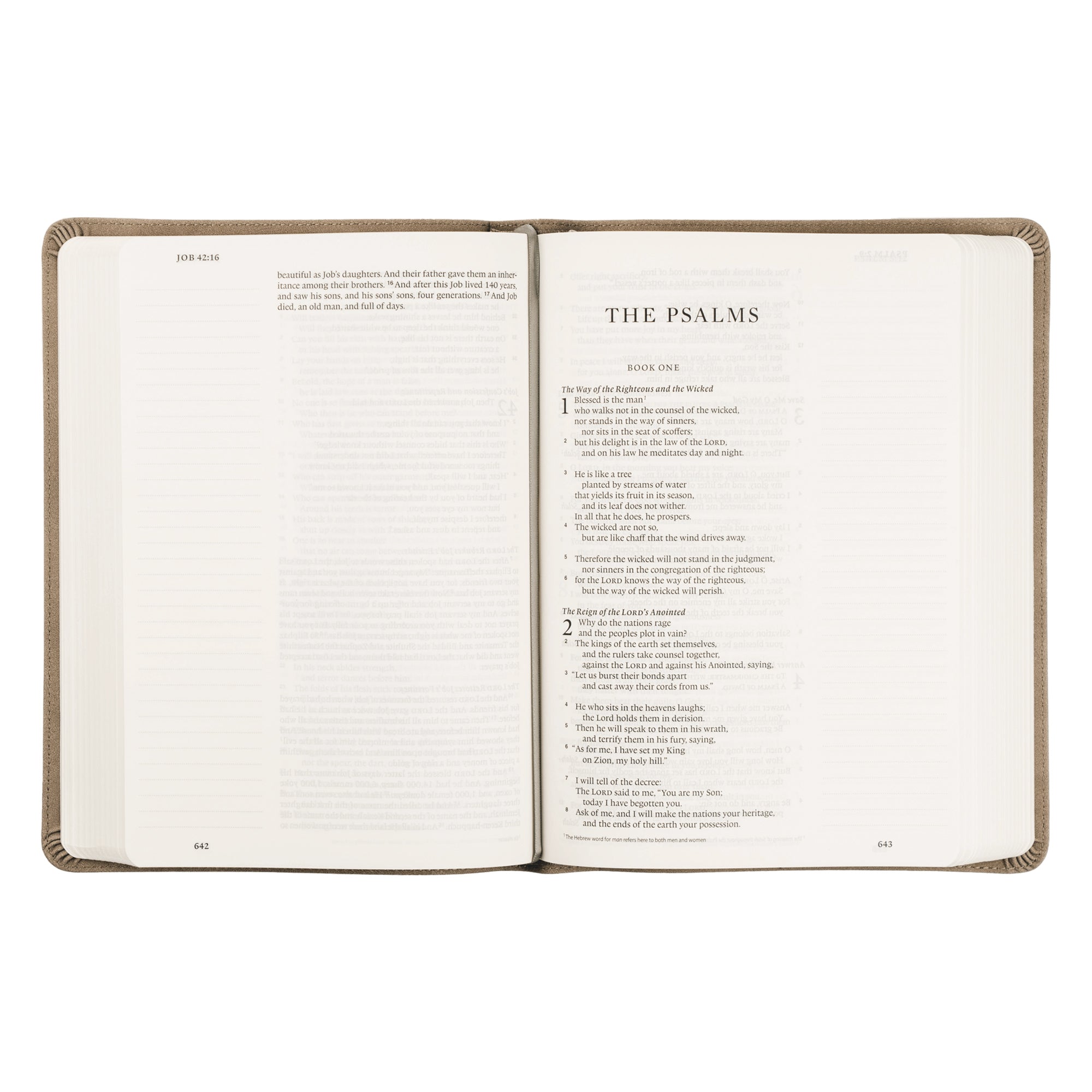 NAZARE 荊海-RE:BIBLE- ESV Large Print Journaling Bible: Nara Theme | Hosanna Revival