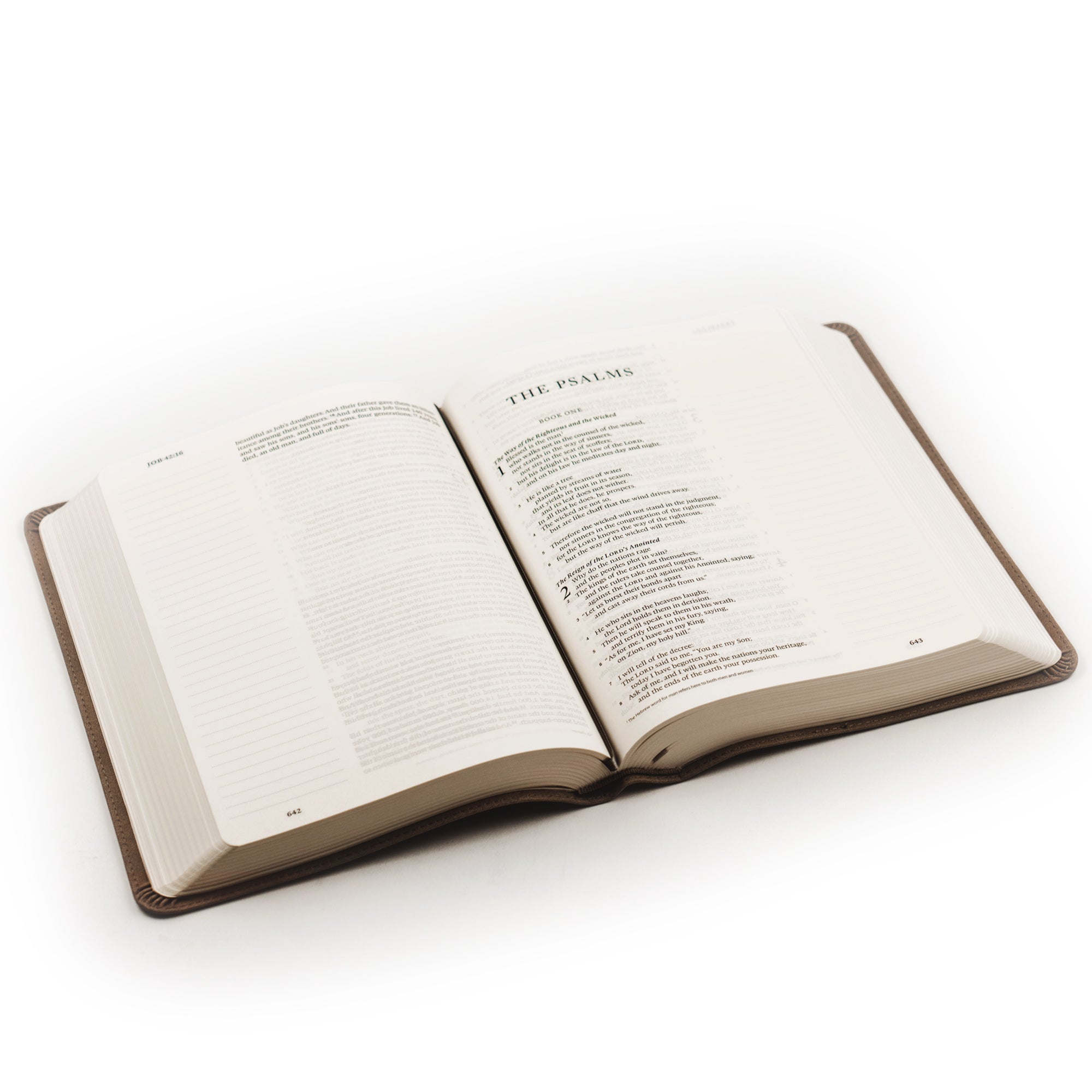 ESV Large Print Journaling Bible: Nara Theme | Hosanna Revival