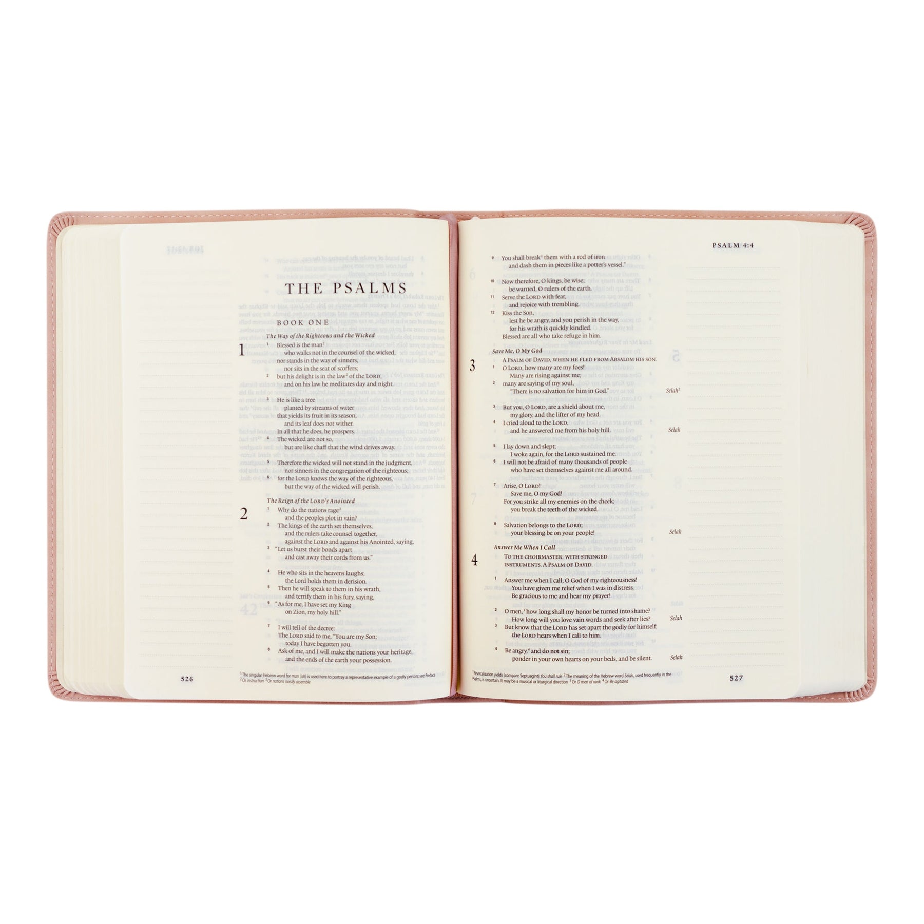 Esv Journal ESV Journaling Bible: Shiloh Theme | Hosanna Revival