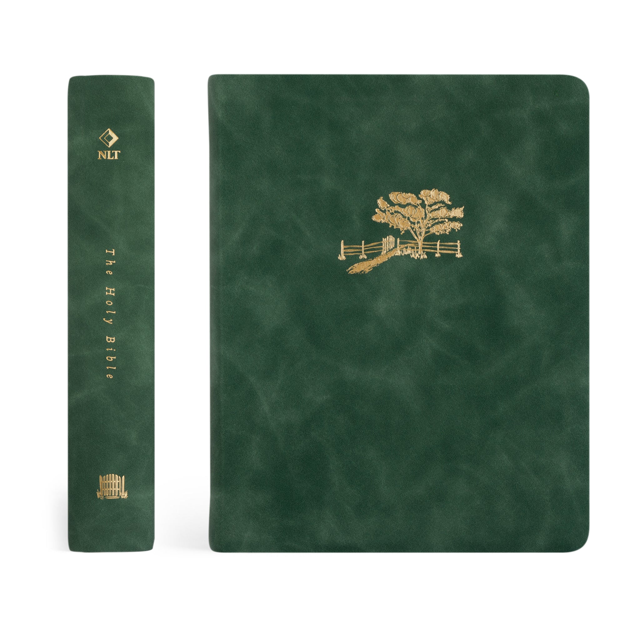 ビンテージ　HOLY BIBLE 聖書　2冊セット Holy Bible - English / Chinese - English Standard Version